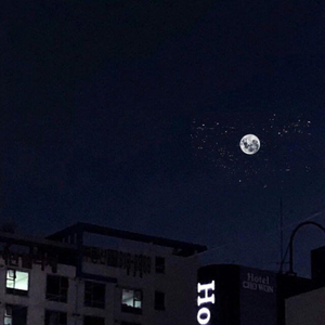 拍击 青少年 业余 打板子
