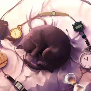 拍击 青少年 业余 打板子
