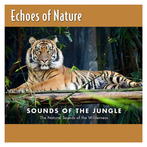 拍击 青少年 业余 打板子
