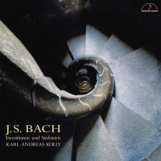 拍击 青少年 业余 打板子
